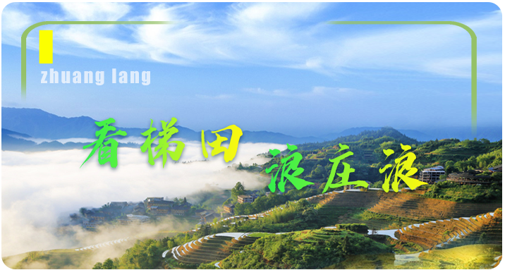 陇上乡遇遇见庄浪