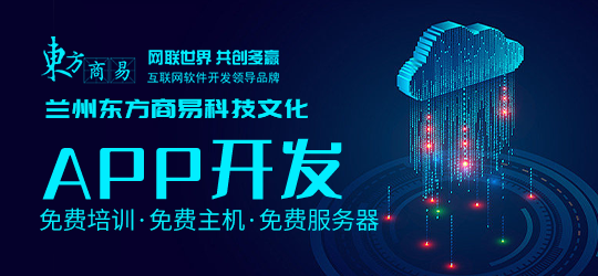 为什么APP开发需要专业团队?揭秘背后的关键考量