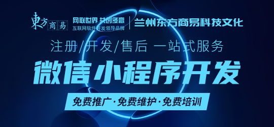 专业团队 vs. 自助建站：为什么企业需要专业的小程序开发服务