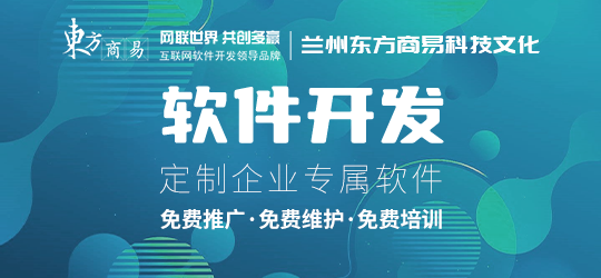 软件开发：数字世界的建造艺术