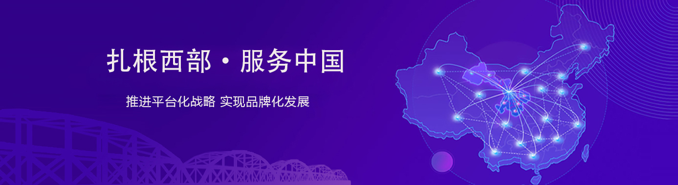 网站